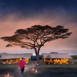 Fly-In Manyara, Crater & Migration for 9 Days of Romance