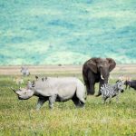 Ngorongoro Crater