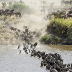 Serengeti National Park